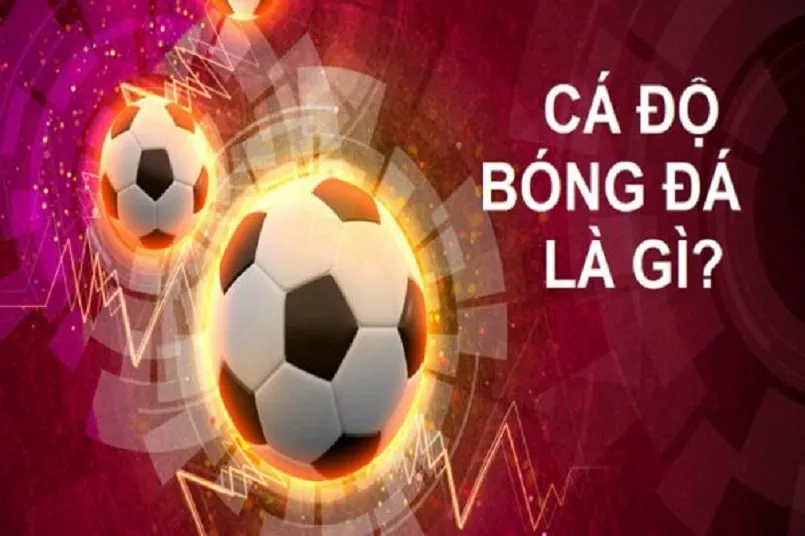 Soi kèo world cup hôm nay cập nhật soi kèo world cup nóng hổi và chính xác nhất