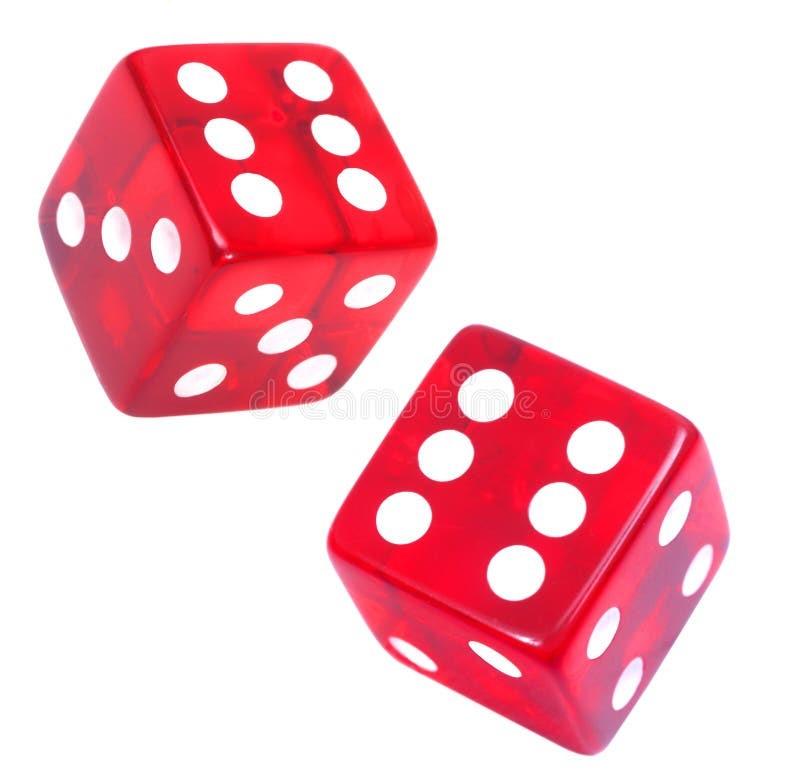 Khám phá cách chơi Bonus Deuces Wild và tận hưởng cơ hội thắng lớn cùng Bonus Deuces Wild